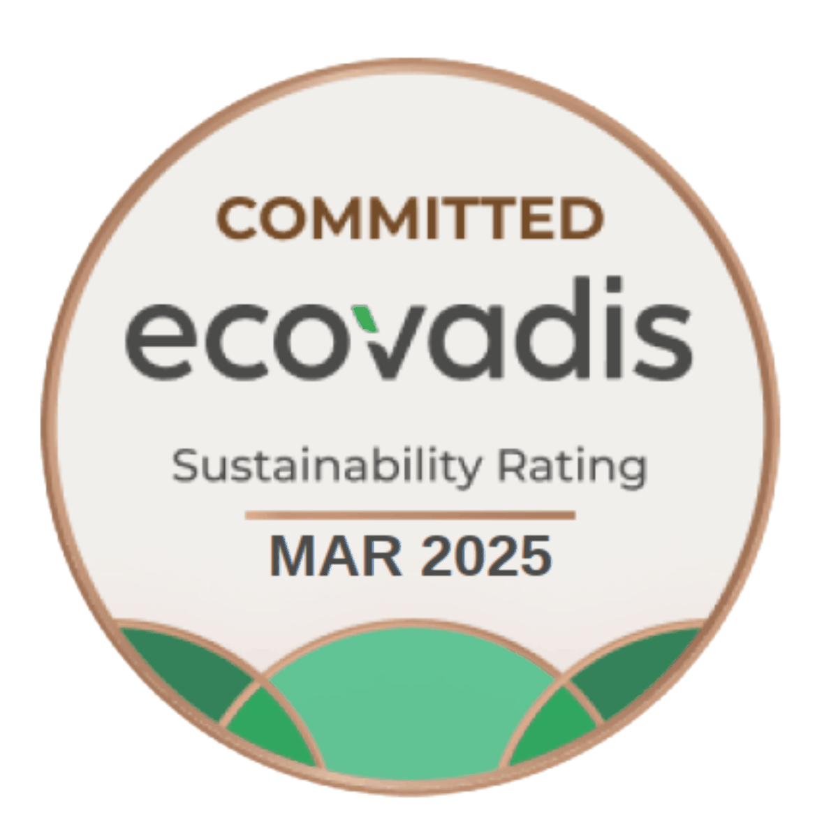 Logo ecovadis webp